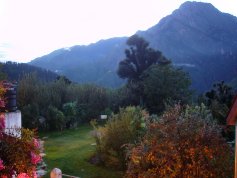 View from the guesthouse.